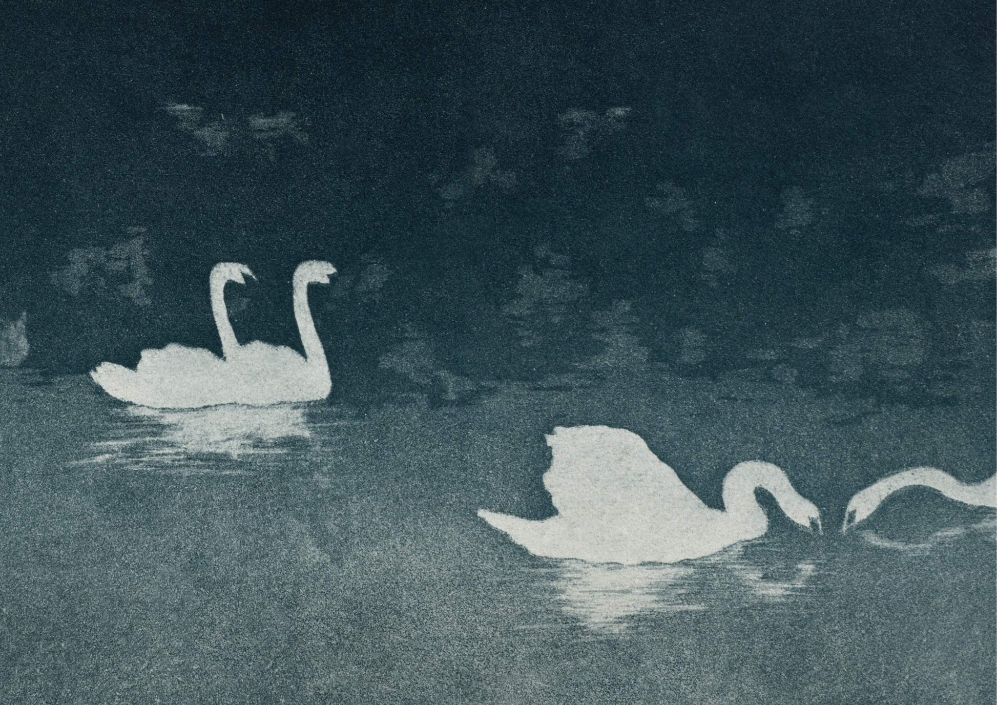 Les Cygnes