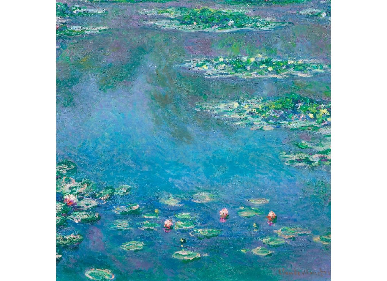Water Lilies