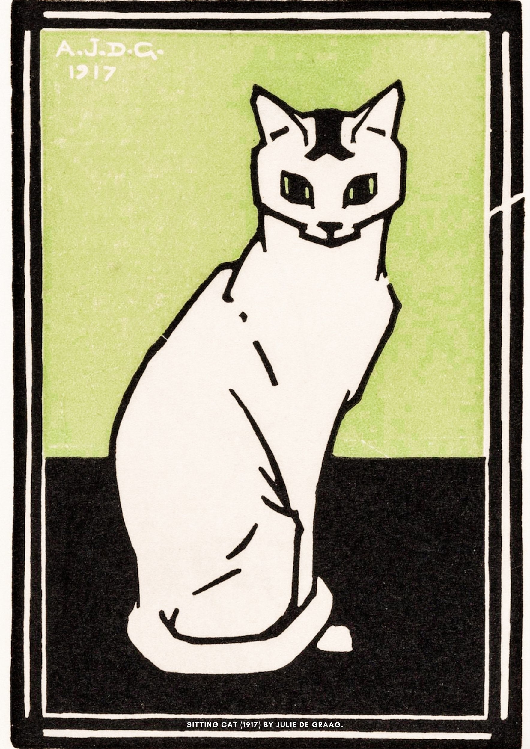 Sitting Cat