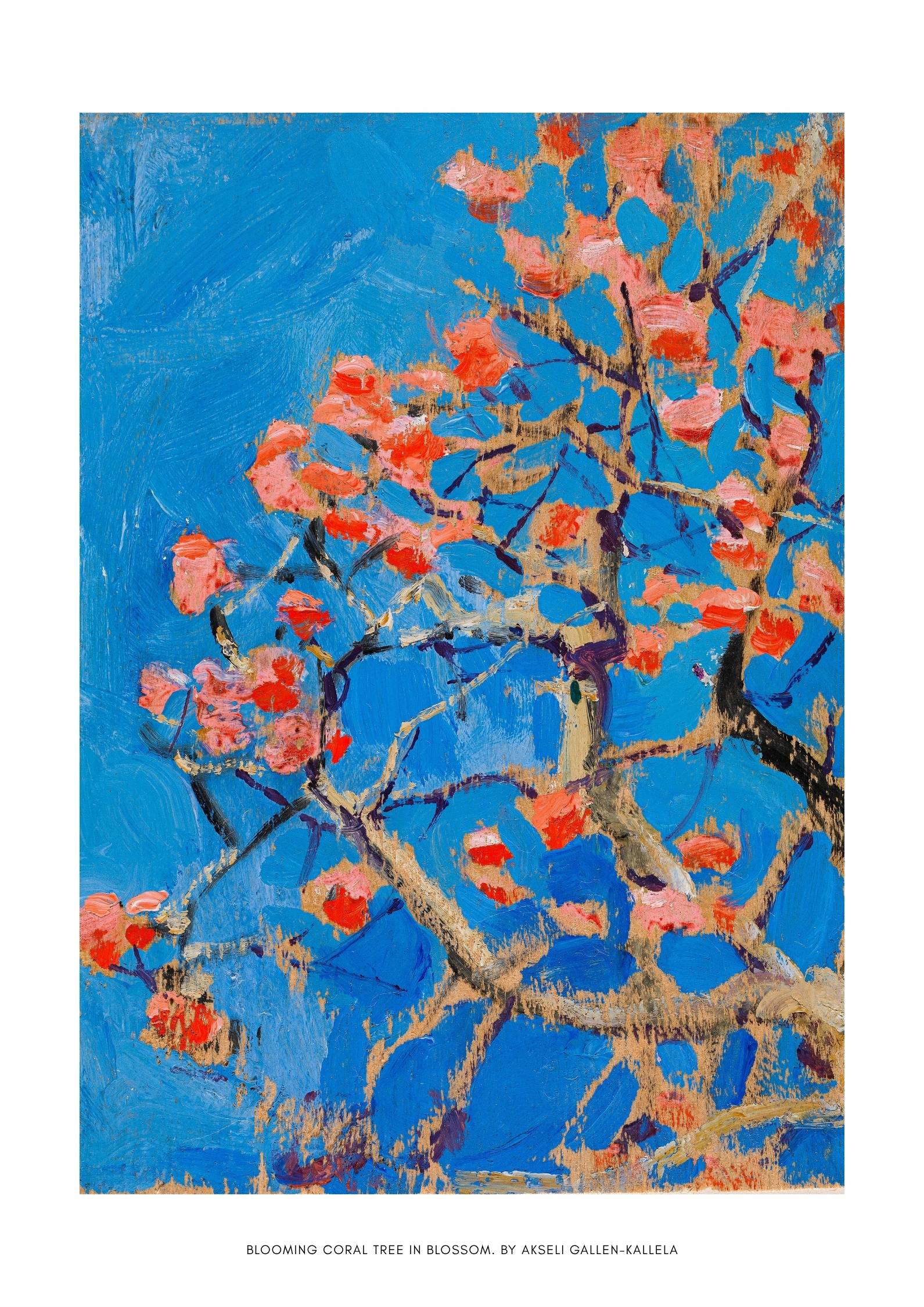 Blooming Coral Tree in Blossom