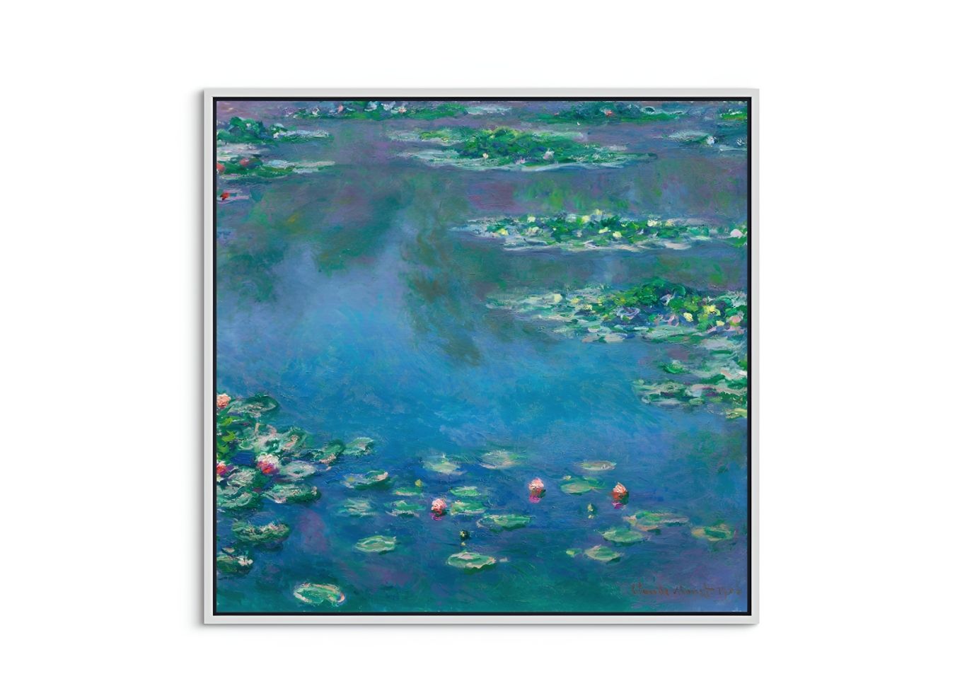 Water Lilies