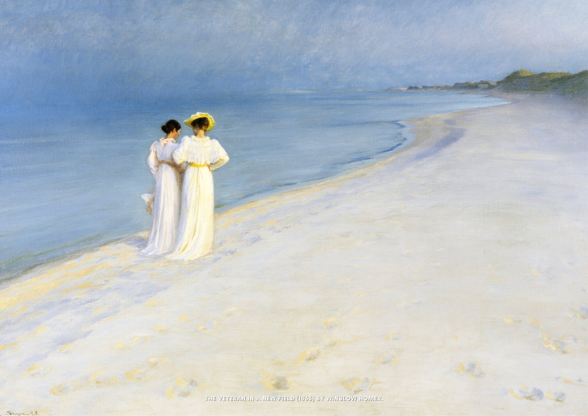 Summer Evening On Skagen’s Beach