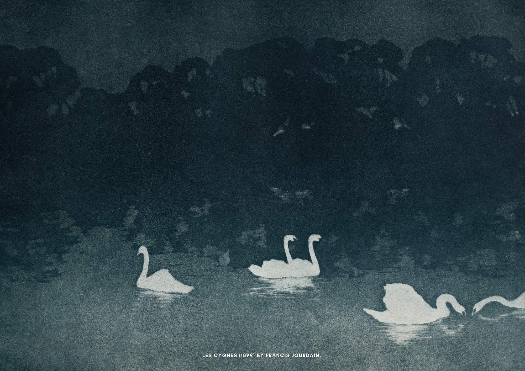Les Cygnes