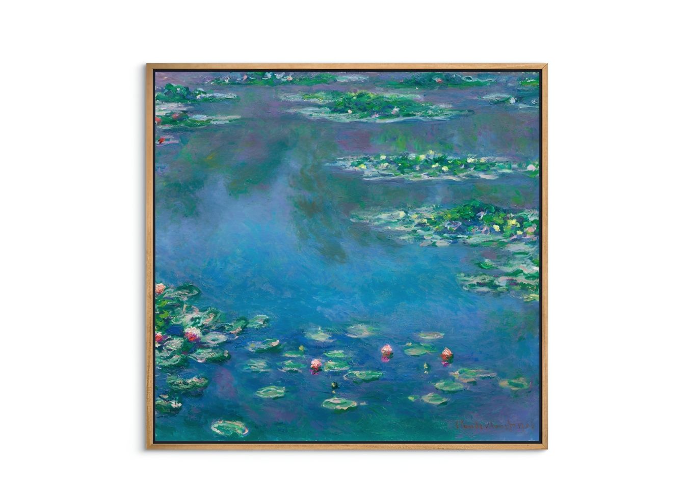 Water Lilies
