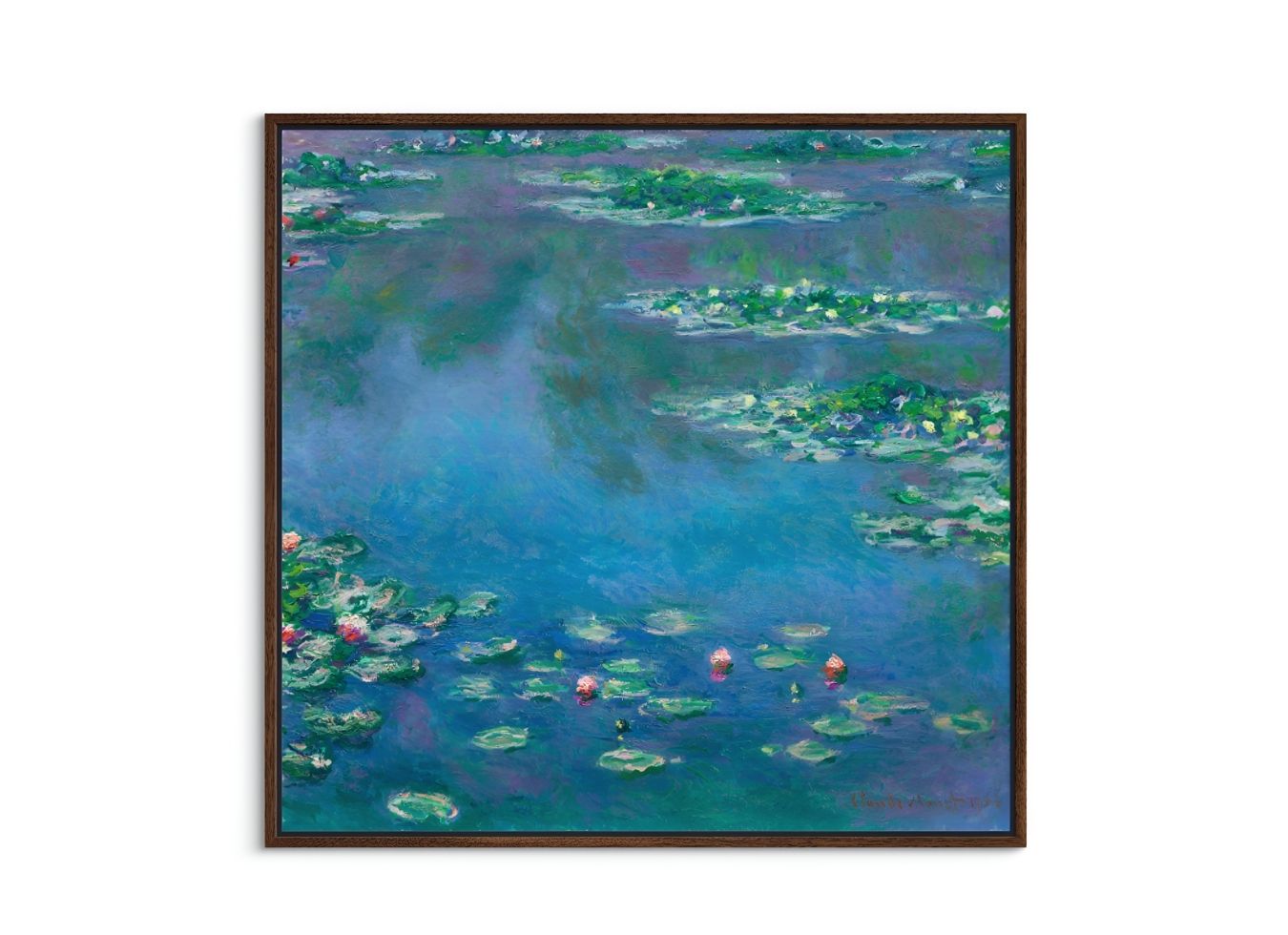 Water Lilies