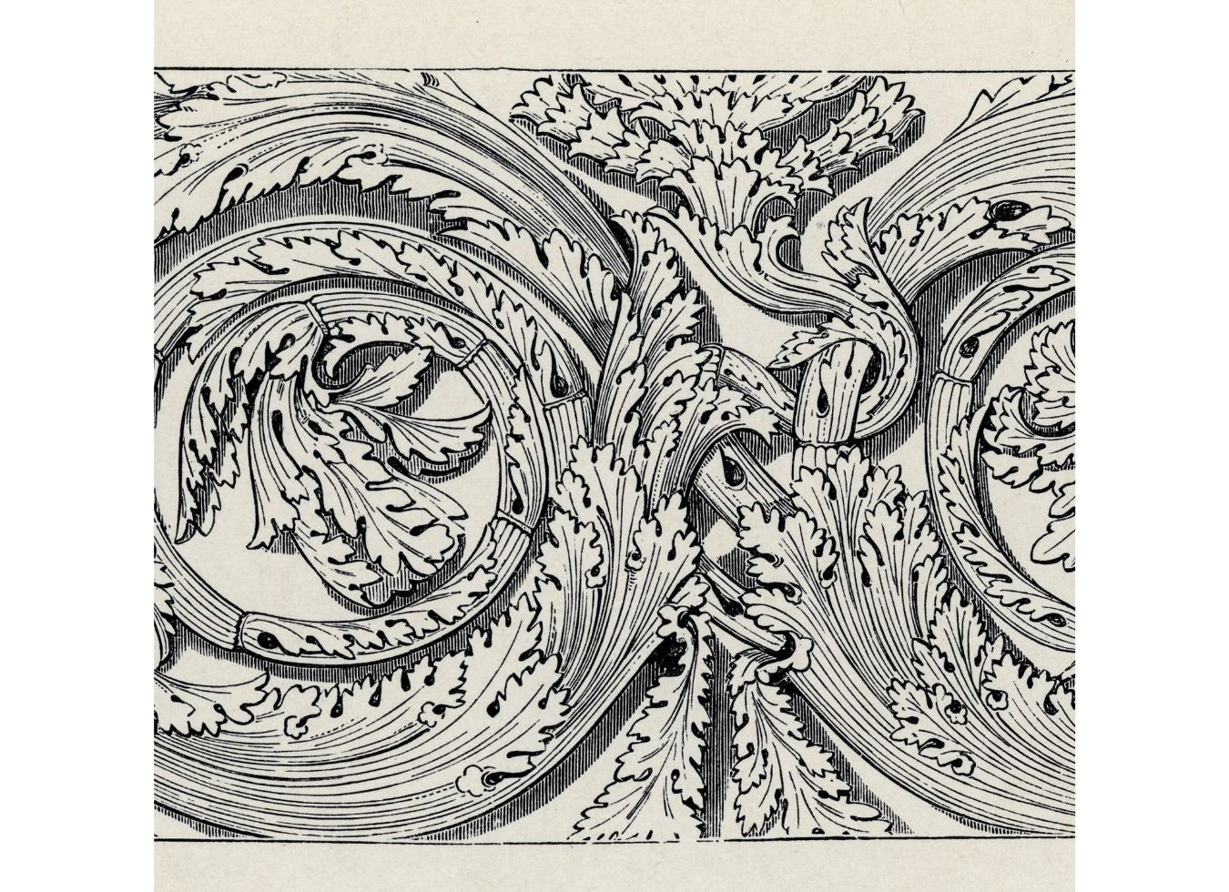 Ornament