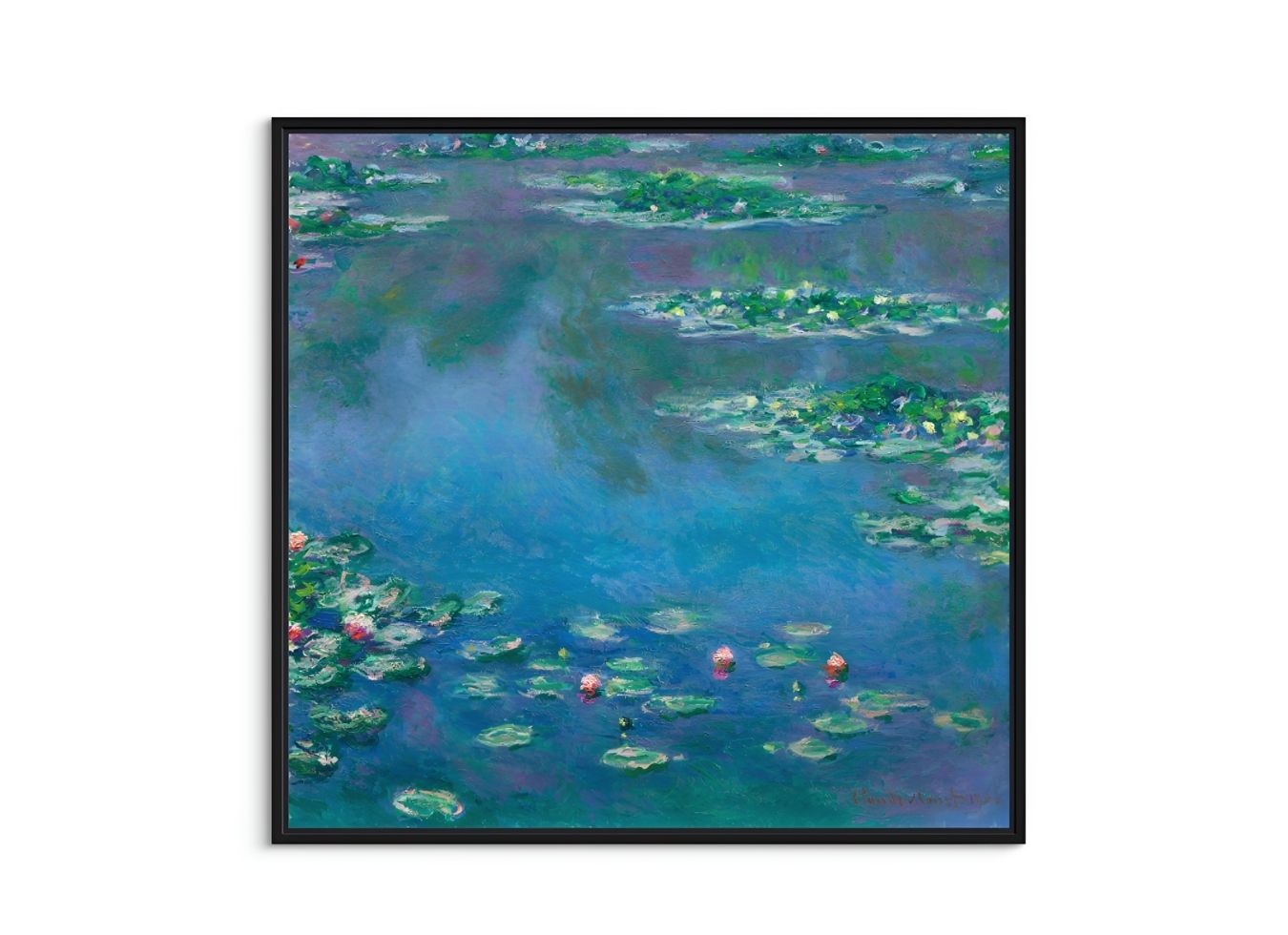 Water Lilies