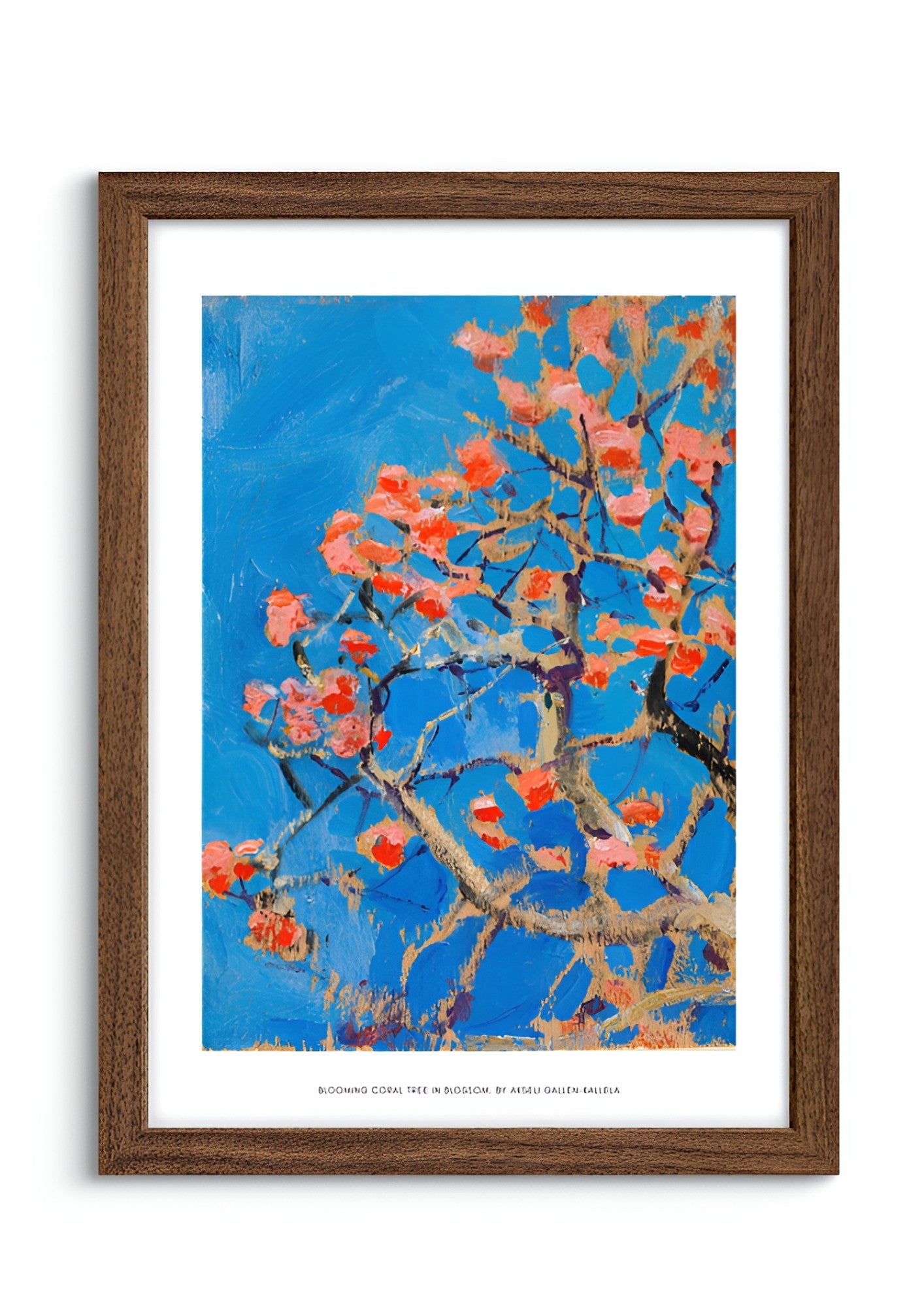 Blooming Coral Tree in Blossom