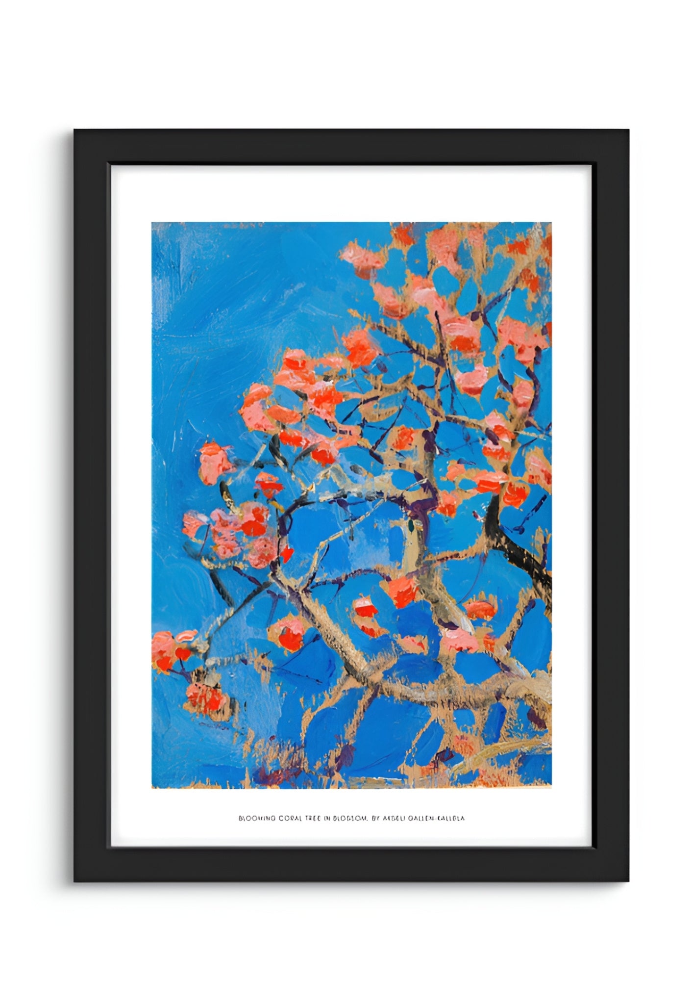 Blooming Coral Tree in Blossom