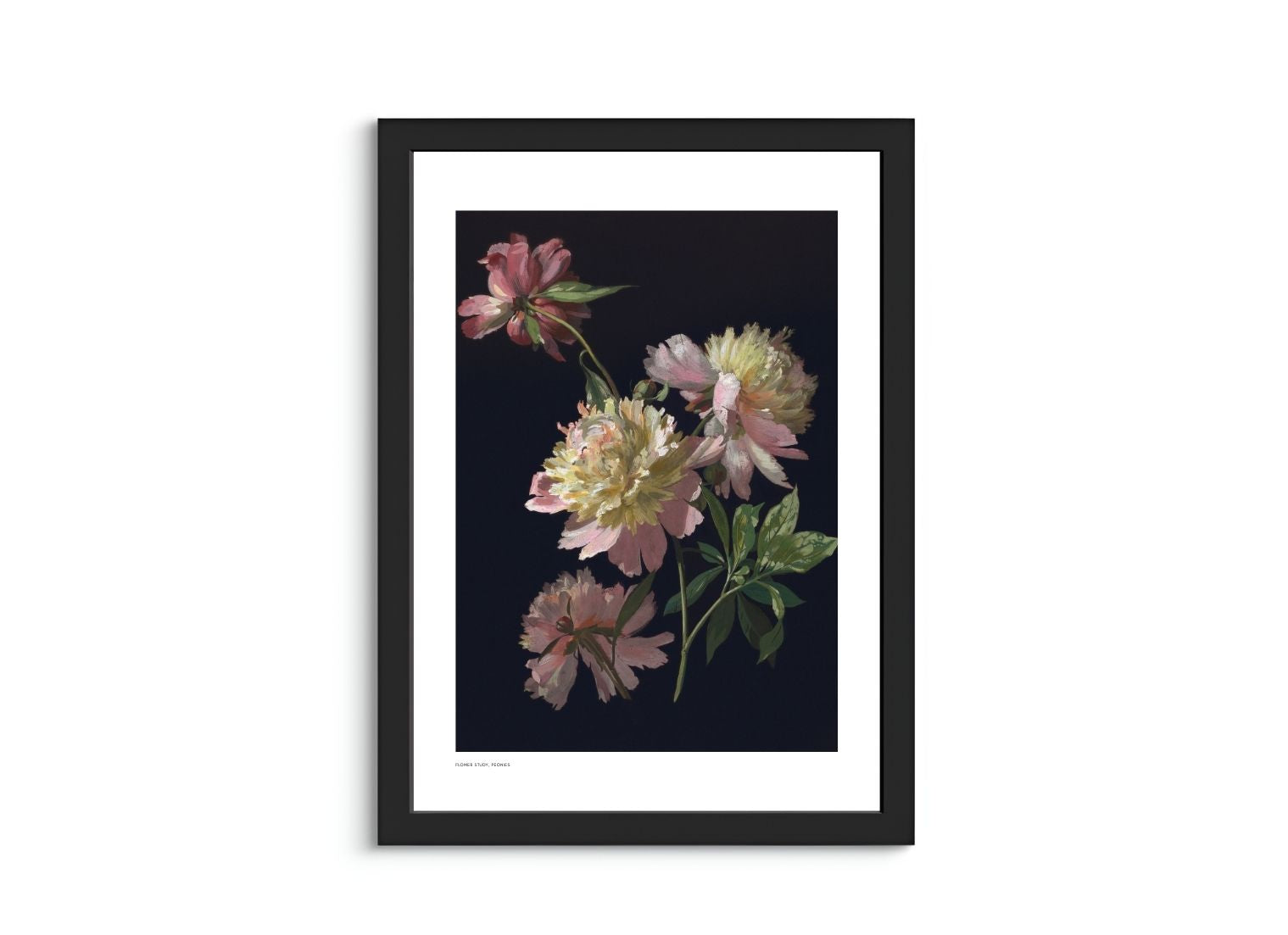 Flower Study, Peonies