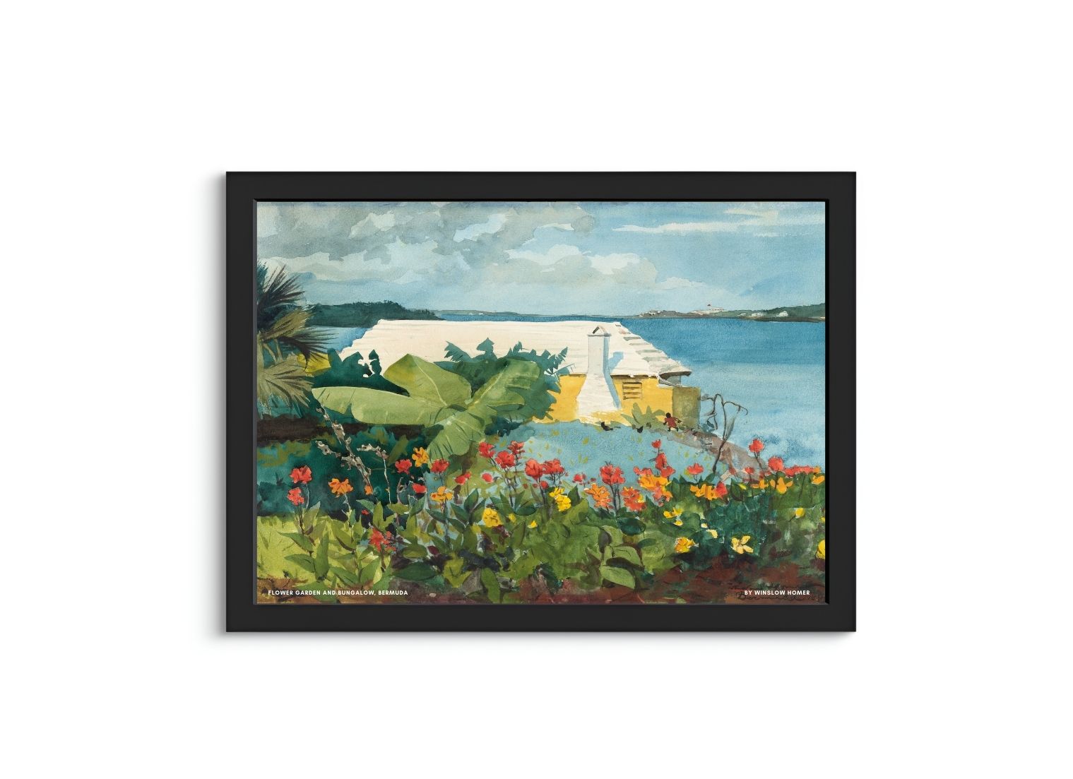 Flower Garden and Bungalow