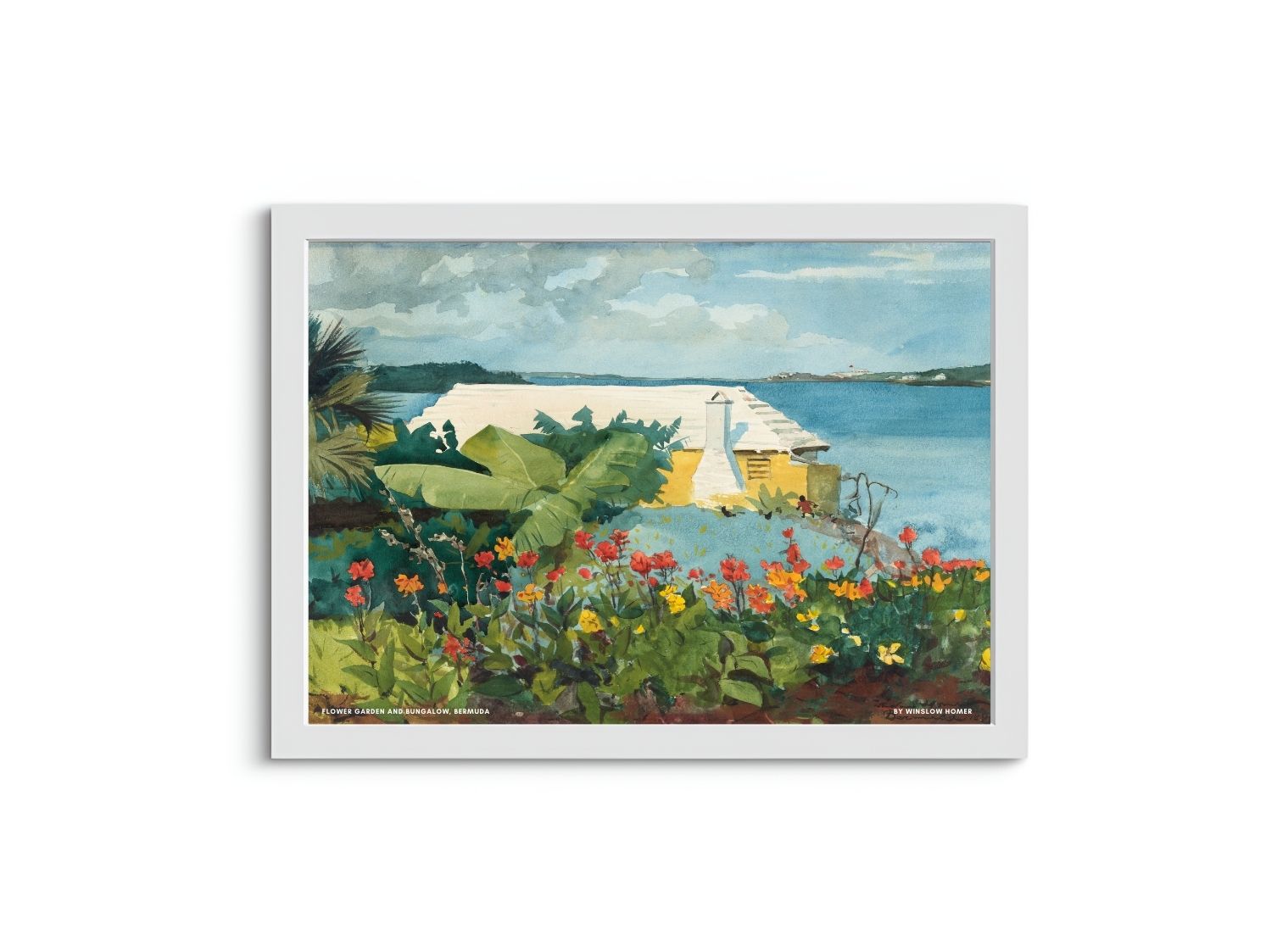 Flower Garden and Bungalow