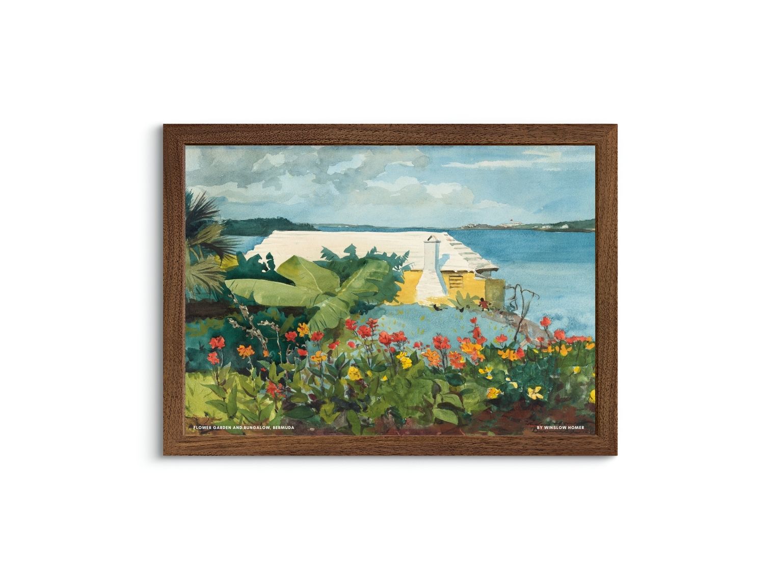 Flower Garden and Bungalow