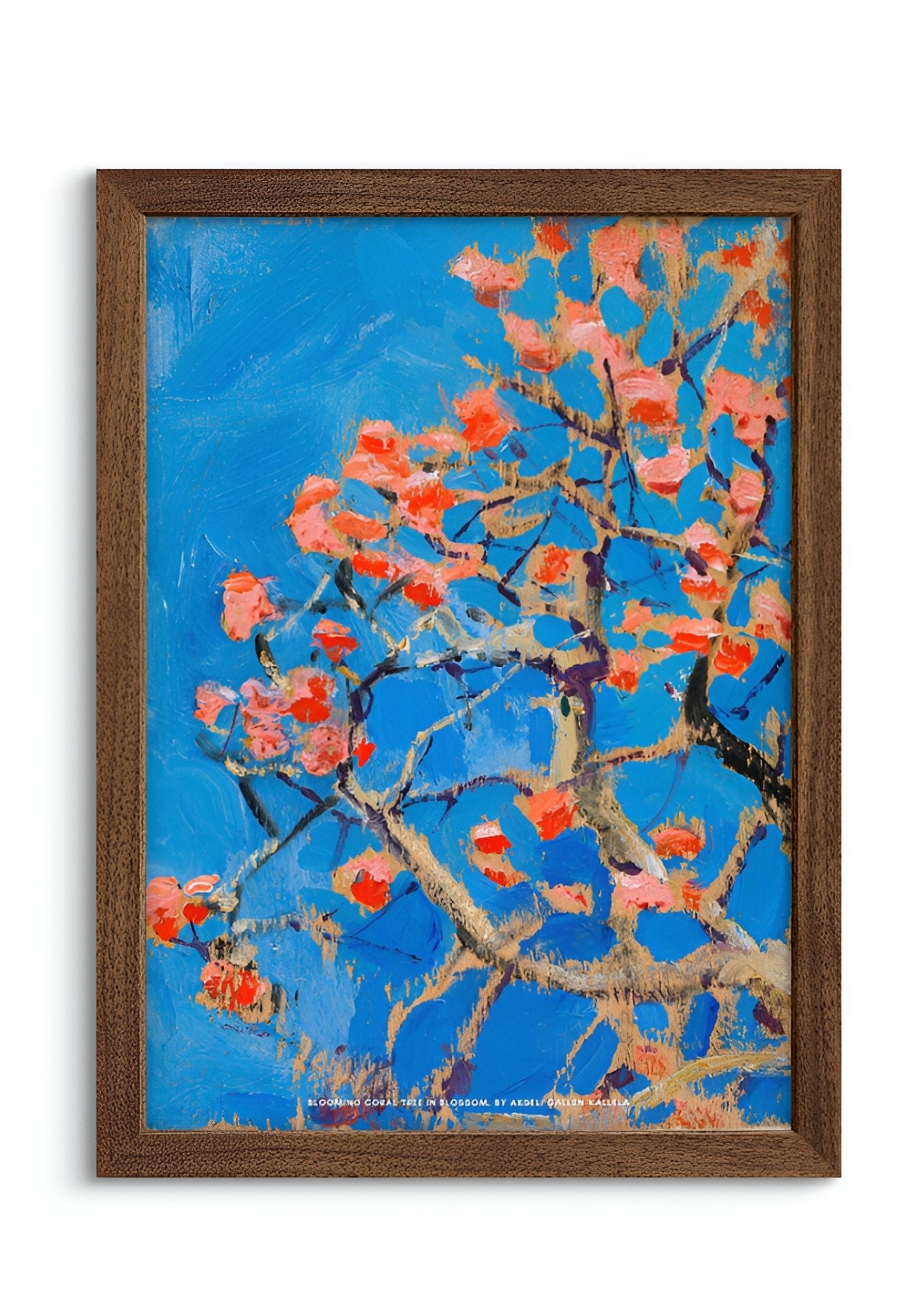 Blooming Coral Tree in Blossom