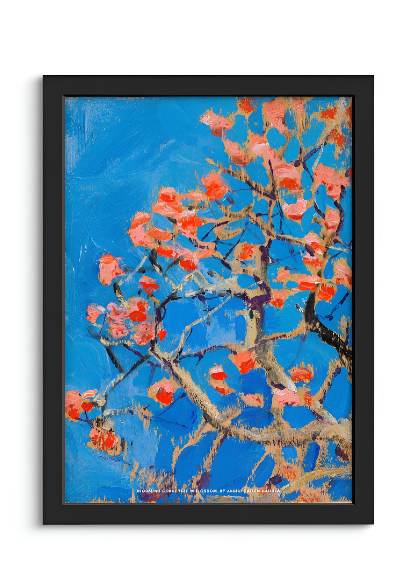 Blooming Coral Tree in Blossom