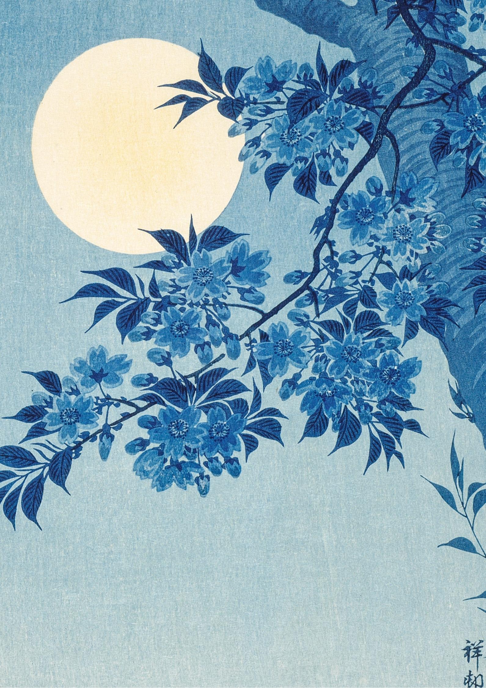 Blossoming Cherry on a Moonlit Night