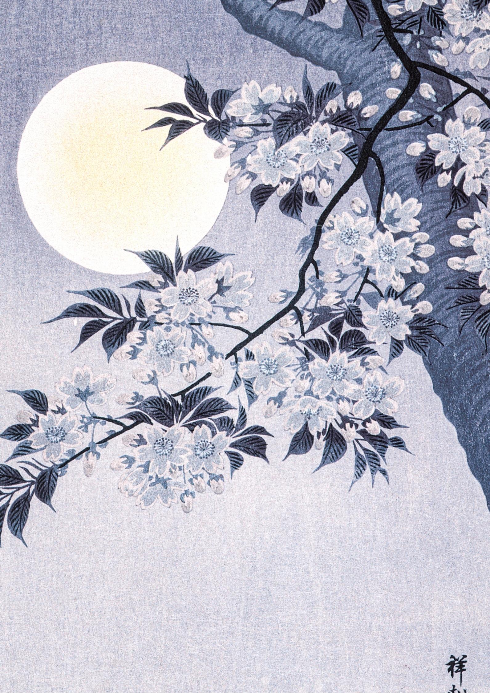 Blossoming Cherry on a Moonlit Night