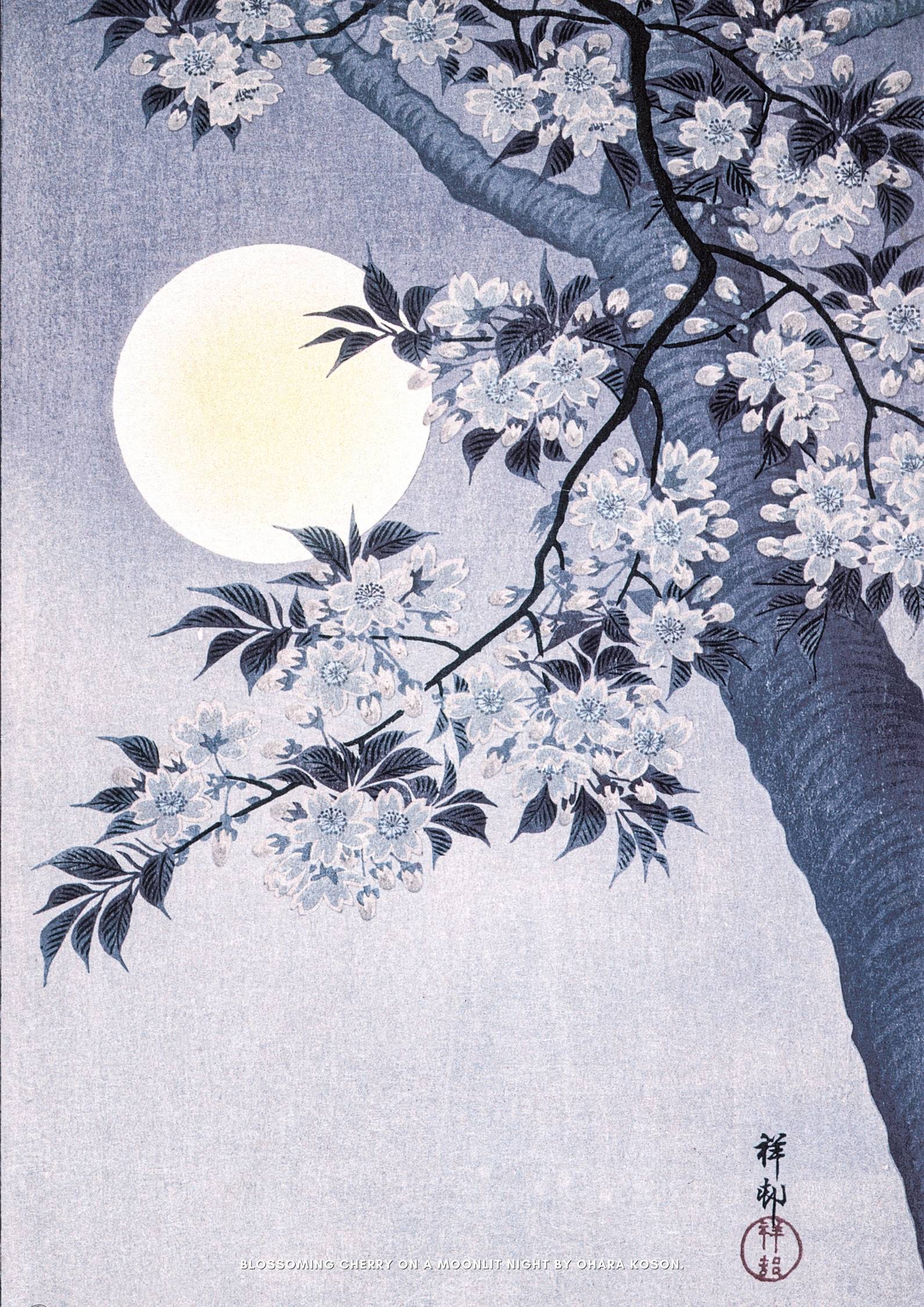 Blossoming Cherry on a Moonlit Night