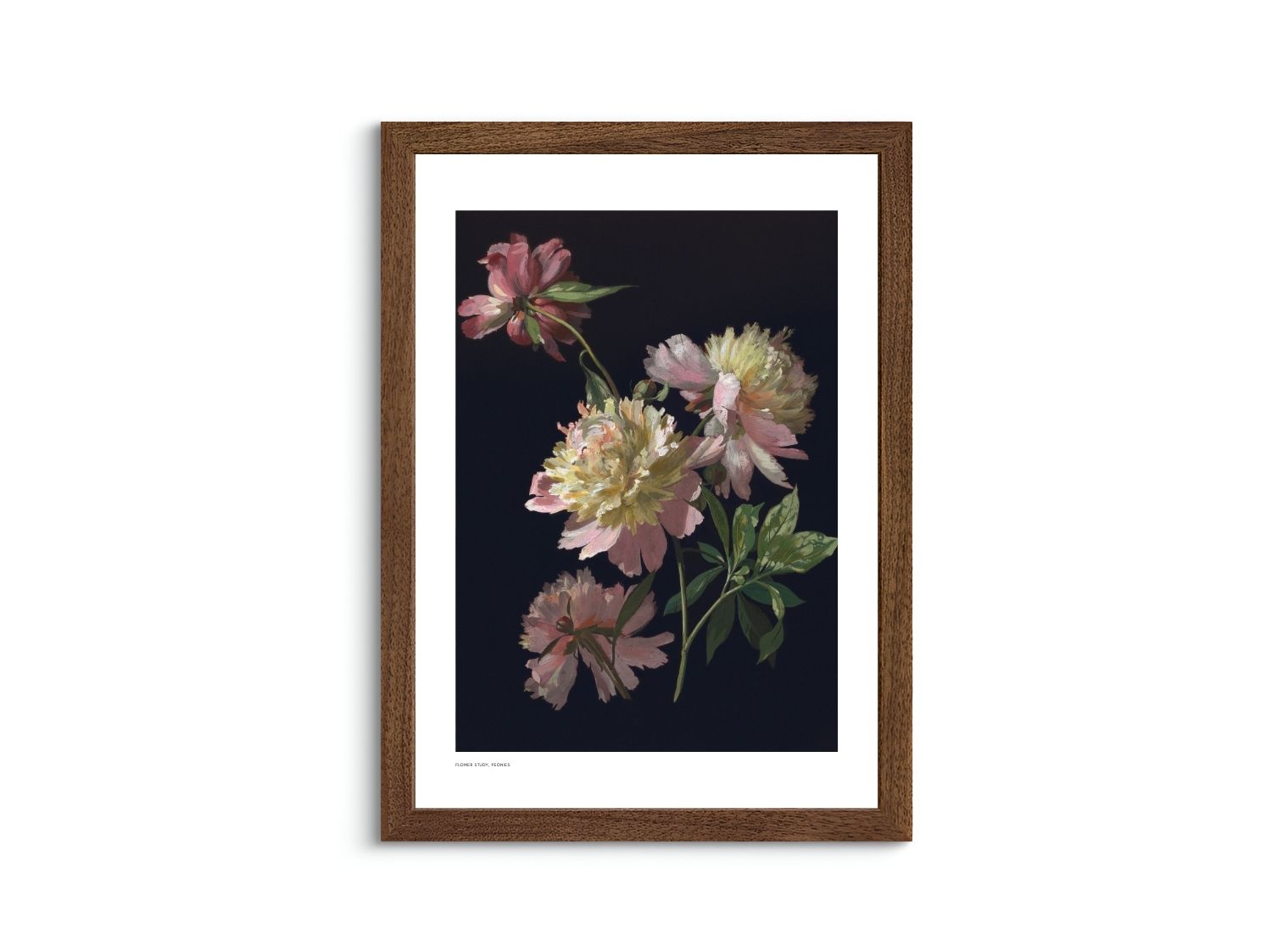 Flower Study, Peonies