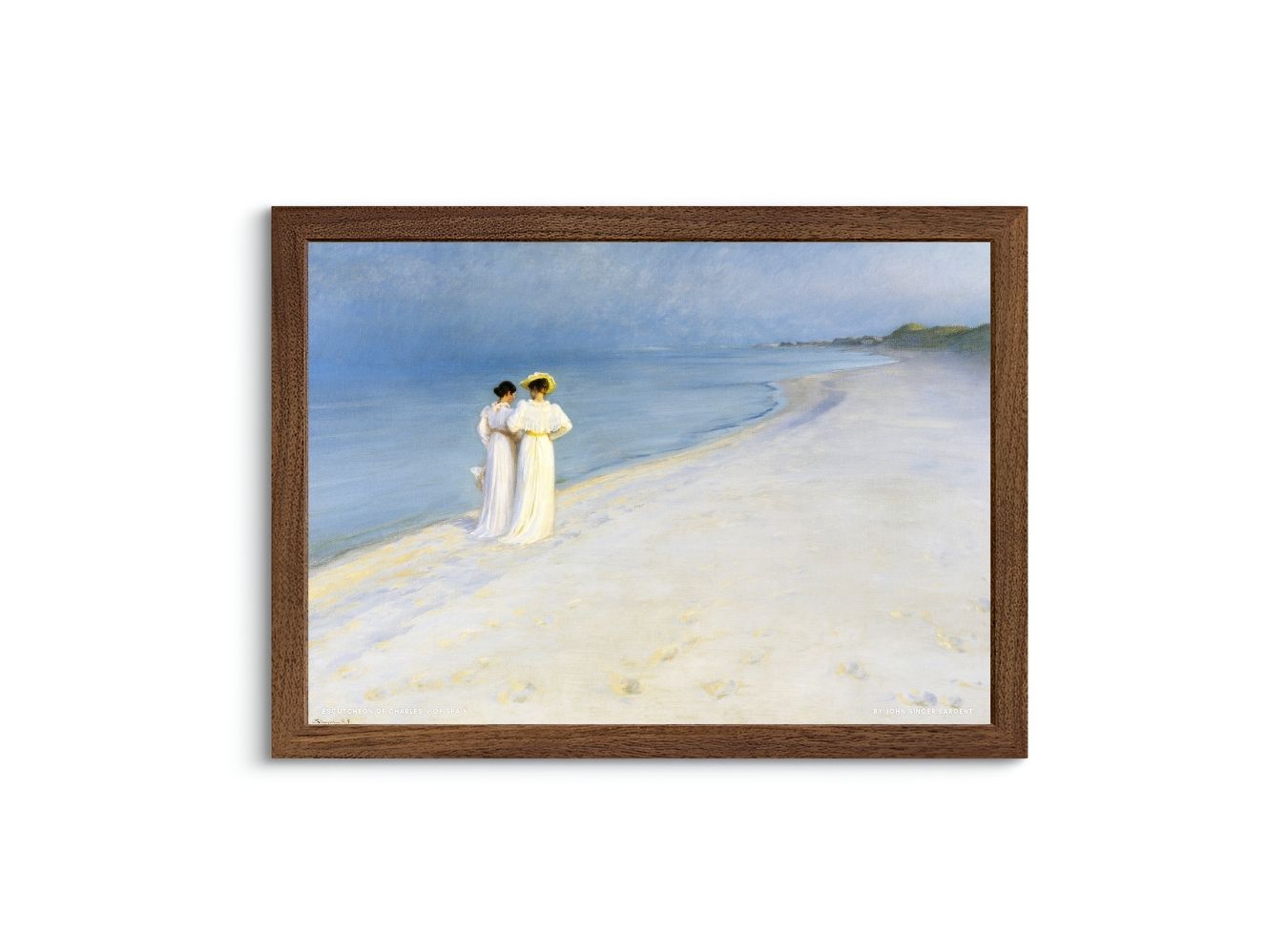 Summer Evening On Skagen’s Beach